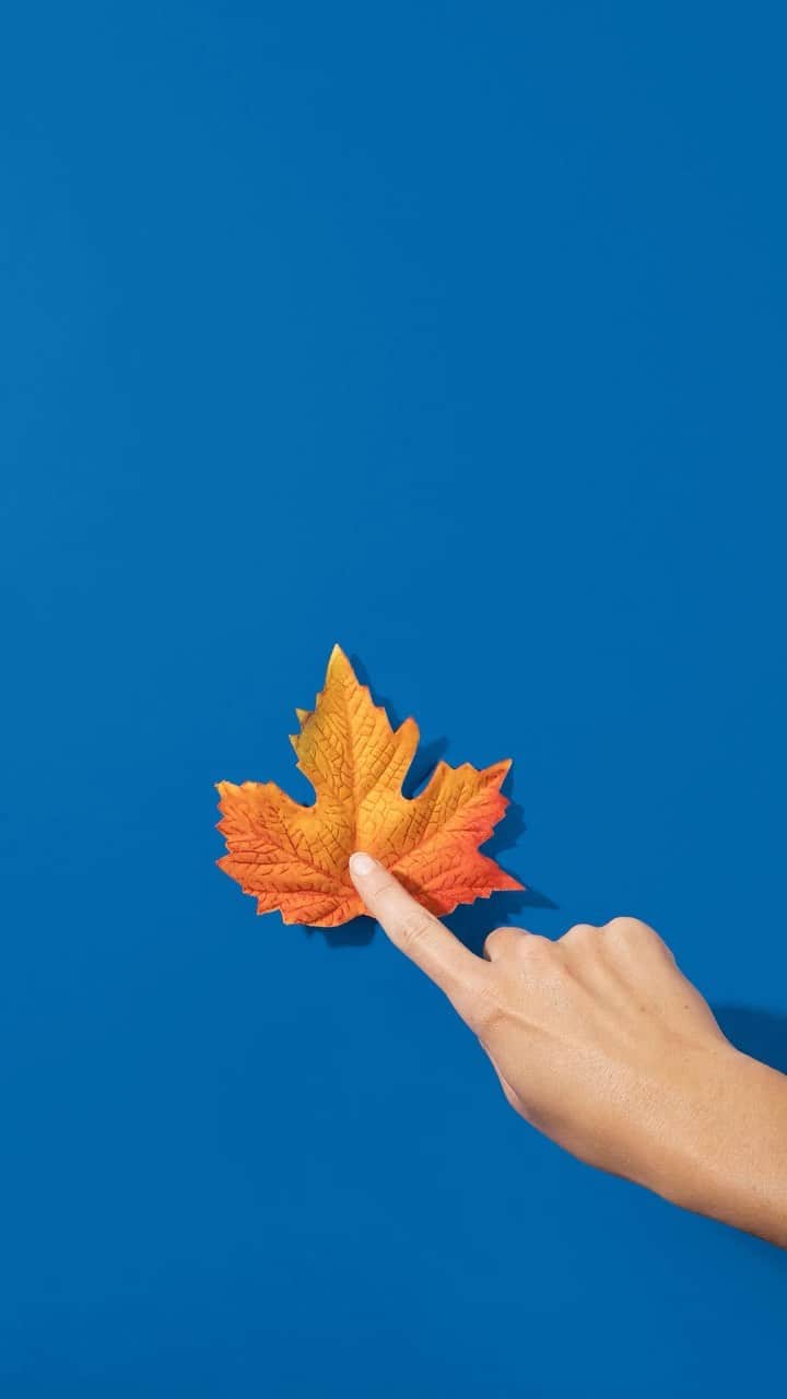 のインスタグラム：「🍁--->>DREMEL 4000⁠ .⁠ .⁠ .⁠ #dremel #ドレメル #DIY #プチDIY #クリエイティブ #ライフスタイル⁠ #デコレーション⁠ #ミニルーター⁠ #秋」