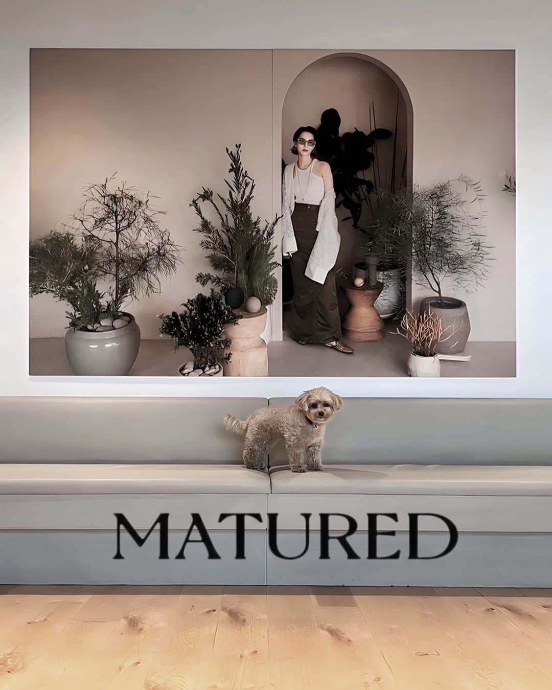 のインスタグラム：「皆様にご報告です。 私がディレクターを務めさせていただいていたMATUREDですが、今シーズンより少しお休みを頂きます。 新体制で進める為に準備をしております。 AWを楽しみにしてくださっていた方、申し訳ございません。。 DMやインスタライブで"次の新作はいつですか？"とお声を頂く度に、心苦しさと、待ってくれてる方がいるんだ…という嬉しさで複雑な気持ちになりました🥺 このお知らせをするのにも時間がかかってしまいました。。ごめんなさい😞 MATUREDで私自身も勉強させて頂き、何よりもMATUREDを好きで居てくれたお客様と出会えた事。受注会などでお会いできて一緒に洋服を選んだり、フィッティングして"可愛い!"を共有出来た事。 そして今までMATUREDに携わってくれたチームの皆様にも感謝の気持ちでいっぱいです。 アパレルが難しいと言われているご時世、悩む事も多々有りました。 そして自分自身も、よくある"モデルさんのアパレルブランド"感を払拭したくて本気で挑みたい気持ちが消える事はなく、ディレクターを辞めるという選択肢はありませんでした。 何よりも自分も洋服が大好きだし、この仕事が大好きなので これまでに学んだ事を生かして！更にパワーアップして⤴︎💪🏻皆様にお洋服をお届け出来たらと思います🙇🏻‍♀️ 今後のアパレルの進展はこちらの私のアカウントで追って報告していきますので、今後とも宜しくお願い致します。 もうしばらくお待ちください🥺 みんな楽しみにしていてね🫡  　　　　　MATURED ディレクター有末麻祐子」