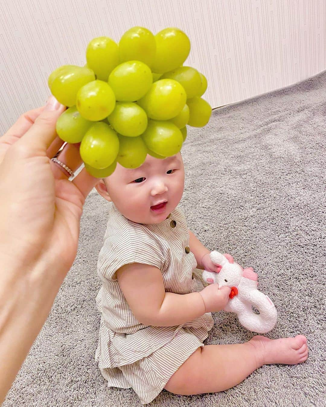 夕霧らいさんのインスタグラム写真 - (夕霧らいInstagram)「ベビーフルーツ🍇 シャインマスカットでアフロとドレスに👗🧑‍🦱 最近ハイハイをするようになったので、このムチムチ感も後少しで引き締まってしまうと思うと、ちょっと寂しい🤏 フルーツアートもそろそろネタ切れになりそうです☺️ . This fruit was very sweet and delicious. I'm looking forward to autumn fruits from now on. . . #赤ちゃんアート #フルーツアート  #ベビーコーデ  #シャインマスカット #マスカットアフロ #マスカットドレス #フルーツキャップ #8ヶ月ベビー  #女の子ベビー  #食べちゃいたいくらい可愛い  #byパパ  #親バカ部」10月8日 10時32分 - 88rairai88