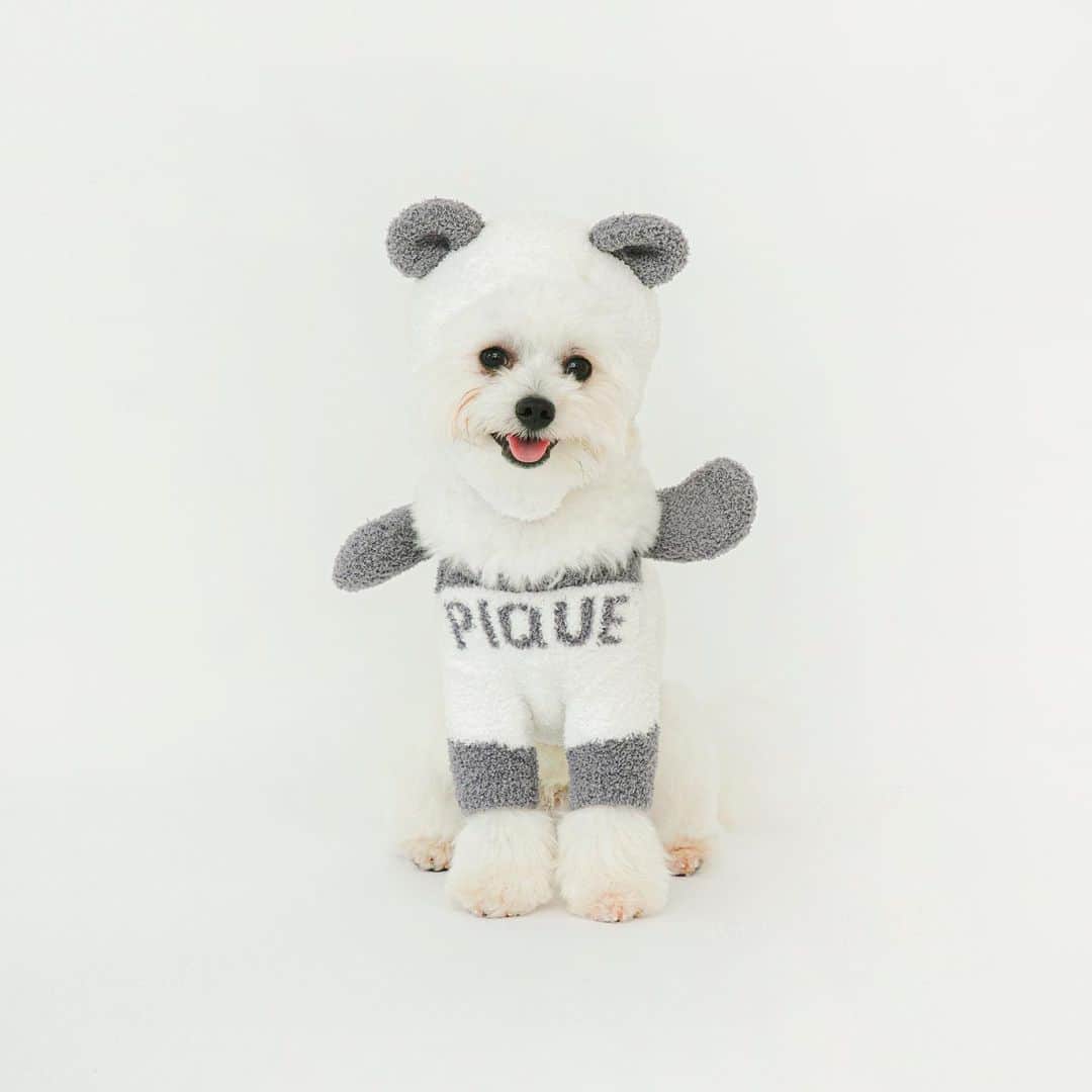 韓国フラッグシップストア限定 gelato pique ジェラートピケ 新品 gelato pique（ジェラート ピケ）】9/4 韓国フラッグシップ