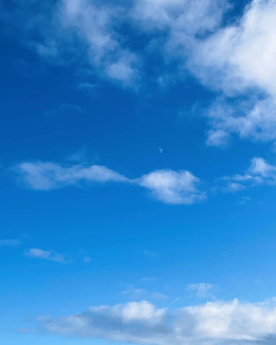 絢香のインスタグラム：「気持ちのいい空☀️ 月もみーつけた！  見える？🌙」