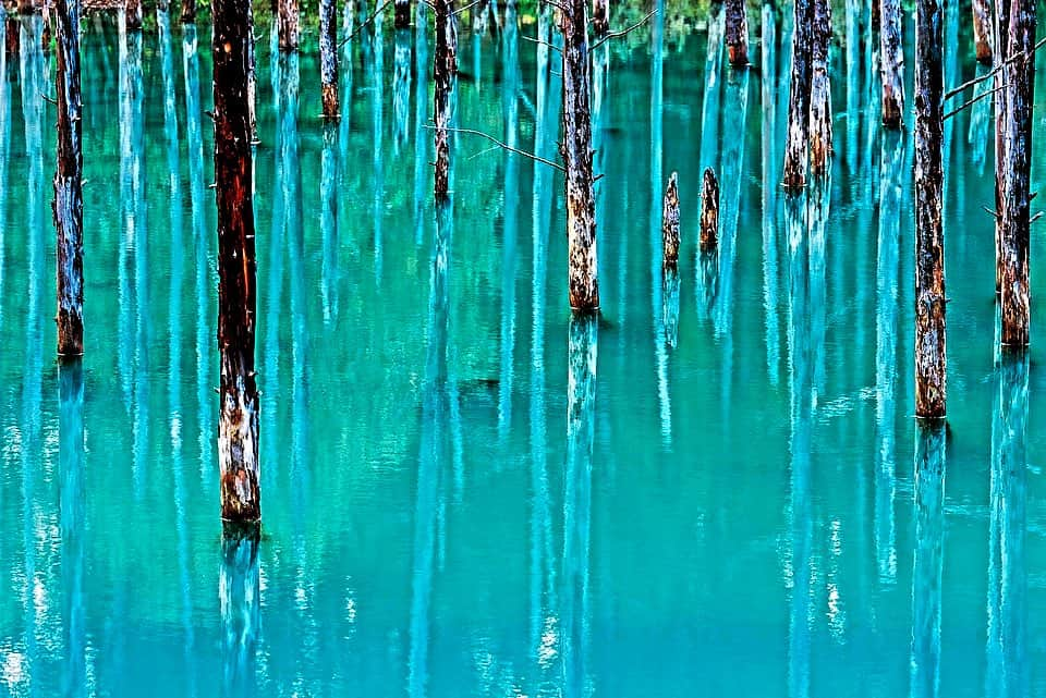 Michael Yamashitaさんのインスタグラム写真 - (Michael YamashitaInstagram)「Blue Pond: Hokkaido’s famous Biei Blue Pond was made by accident, as the by-product of attempts to control mudslides. Aluminum from the soil seeping into the water scatters the sunlight causing the pond to look blue. But depending on the time of day and the light, the reflection can also look green and every shade in between. #bluepond #blue #bieibluepond #hokkaido #hokkaidoblue」10月8日 11時45分 - yamashitaphoto