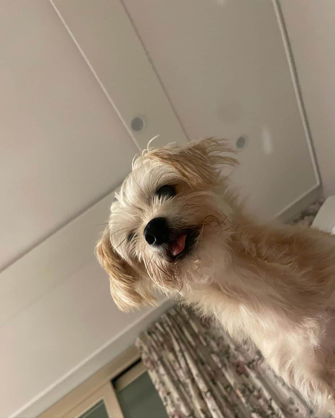 ジミンのインスタグラム：「아무거나모음🏠」