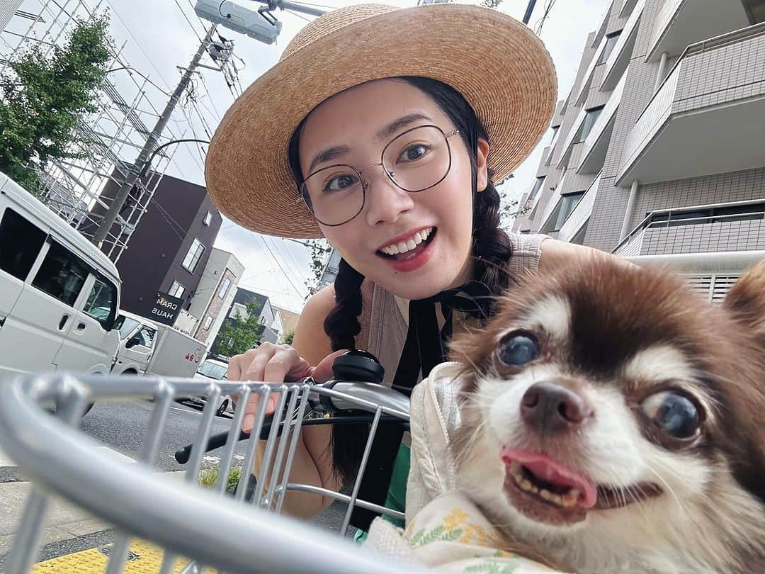 篠原真衣のインスタグラム：「まだ夏ナツしてたあの日ー。 自転車という無敵アイテムで、ヒョイっとリルと駒沢公園まで行った日。 そしてさらに少し遡って、ガンガンの夏は、素朴なかき氷食べたな。 どちらもリルの代わりにめちゃくちゃ蚊に刺されまくったガードマン篠原の思い出🦸🏻‍♂️  毎日が必死でこの時のリルの体調がどんなもんだったかつい最近なのに、パッと思い出せない笑（いつもピンチな様な？） でもこんな瞬間は、 とにかくいい笑顔だこと☺️ そんな思い出を大事に出来てたらいいか🫶 #リルさま#リルさまの休日#リルさま闘病中」