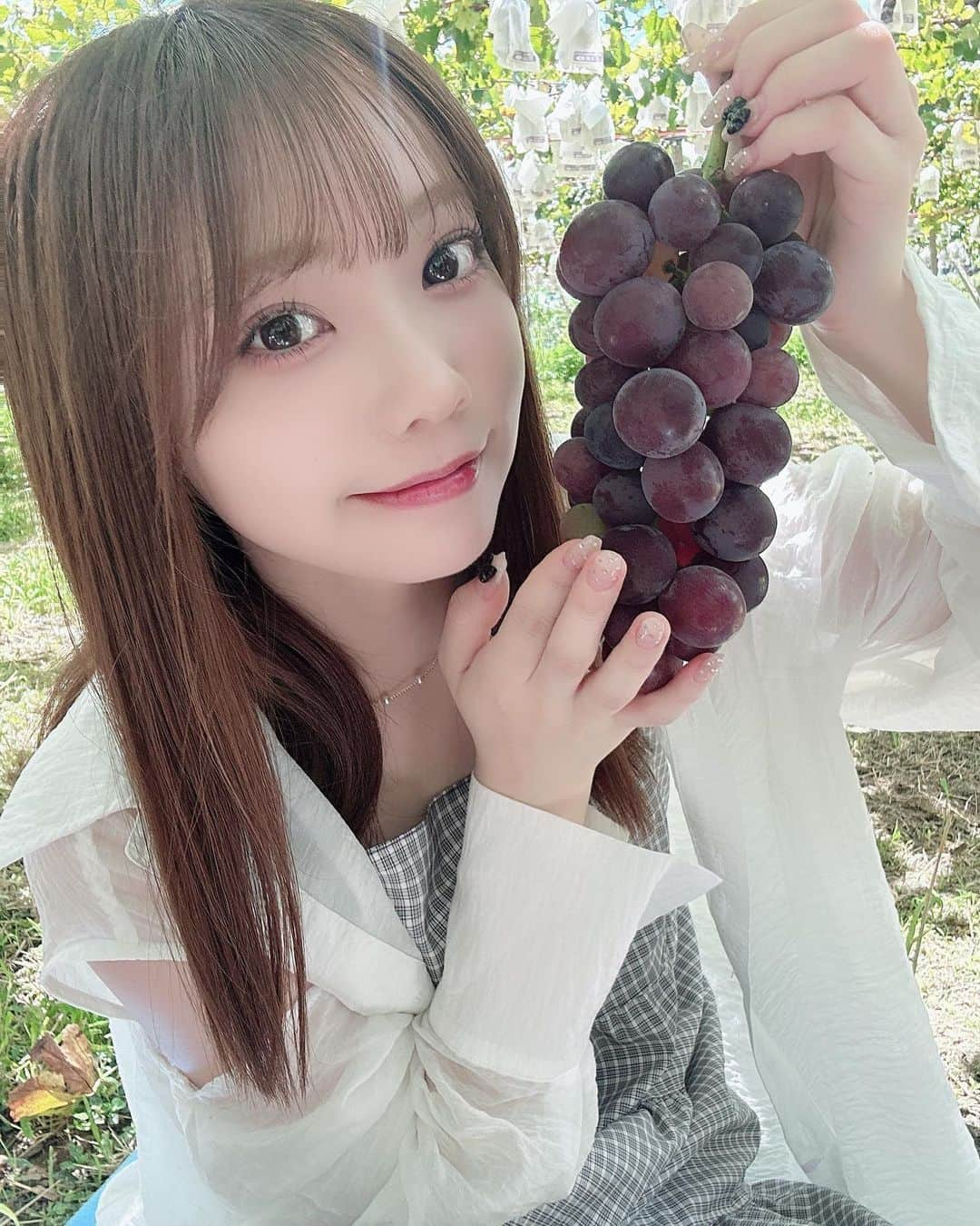 仲村和泉のインスタグラム：「🍇🍇 ⁡ ⁡ ⁡ ⁡ ⁡ ⁡ ⁡ ⁡ ⁡ #ぶどう #ぶどう狩り」