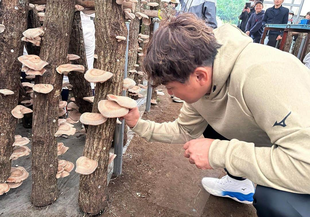 内川聖一さんのインスタグラム写真 - (内川聖一Instagram)「大分県玖珠町にて、「スポーツ×援農事業」の一環として野球教室と椎茸の収穫をしてきました。  あいにくの天気で、野球教室は室内での実施となりましたが、 子どもたちにとって思い出に残るような野球教室となってくれていたら嬉しいなと思います。  また、生まれて初めての椎茸の収穫でしたが、子どもたち以上にワクワクしながら収穫させてもらい、お昼には椎茸料理をいただきました。  本日は貴重な体験をさせて頂きありがとうございました！  #スポーツ #援農  #日本スポーツSDGs協会 #大分県 #玖珠町 #内川聖一」10月8日 22時28分 - uchikawaseiichi01