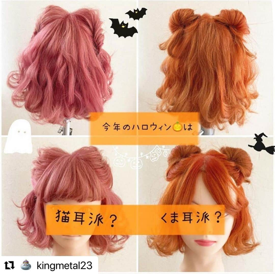 kingmetal23 ヘアアレンジさんのインスタグラム写真 - (kingmetal23 ヘアアレンジInstagram)「こんばんは😊 昔に　@mikajiiiii が作ってます🎃 今日もよろしくお願いします😊  私は猫派です😻  #Repost @mikajiiiii with @make_repost ・・・ ハロウィン🎃👻 猫耳派🐈‍⬛？くま耳派？🐻  #ヘアアレンジ#美容師 #美容院#神戸#美容室#ロカリ#兵庫#三宮#元町#トアウエスト#栄町#神戸美容室#アントテン#antten#簡単アレンジ#ヘアアレンジ解説 #ヘアアレンジ動画 #簡単ヘアアレンジ #アレンジ動画 #アレンジ解説 #ハロウィンコスプレ #ボブアレンジ #ボブアレンジ動画」10月8日 22時28分 - kingmetal23