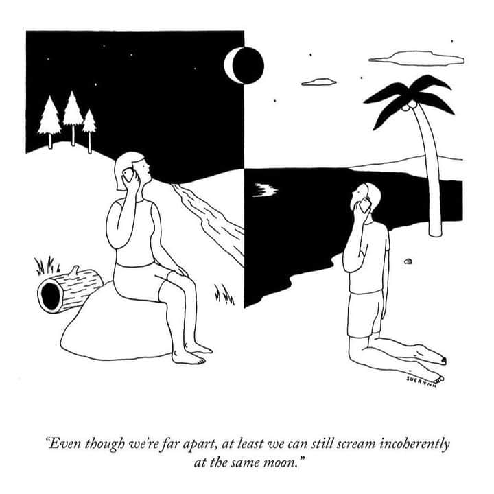 The New Yorkerのインスタグラム：「A cartoon by @suerynns, from 2020. #NewYorkerCartoons」