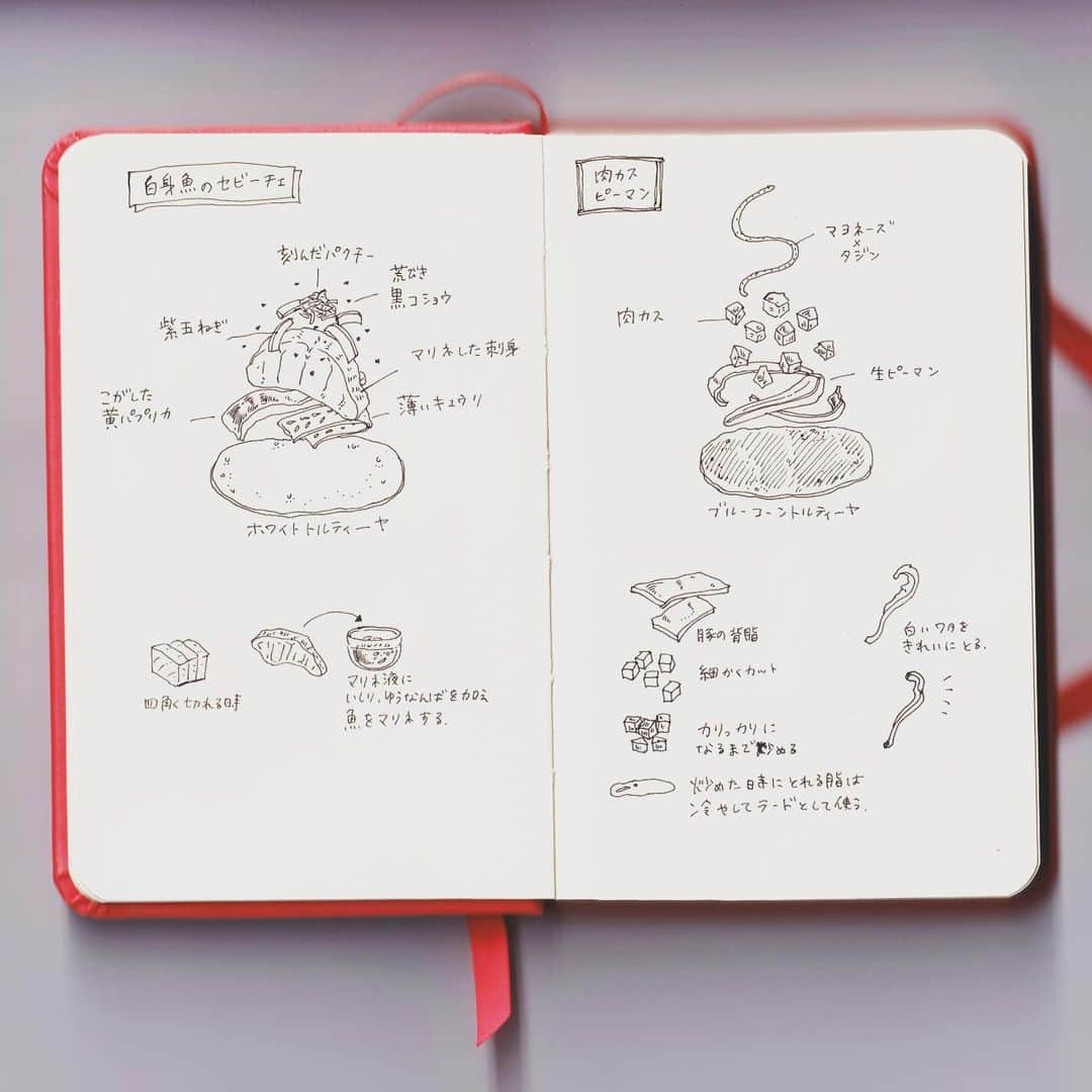 山川あかねのインスタグラム：「\イラスト解説/  “真鯛のセビーチェ” 使用する魚によって合わせる野菜やマリネ液を変えるのも良いです。  今回は能登の「ふらっと」さんのいしりとゆうなんばをほんの少量入れて和食のニュアンスを付けています。  具材とトルティーヤとサルサのバランスが難しくて、まだまだ試行錯誤の余地ありです。  “肉カスピーマン” こちらはカルニータスなど豚ブロックをお掃除した際に余る脂身をカリッカリに焼いてピーマンと合わせたもの。  豚の旨みとシャキッとしたピーマン、風味豊かなブルーコーンのトルティーヤ、それぞれがはっきりと味わえてシンプルに美味しいですよ。」