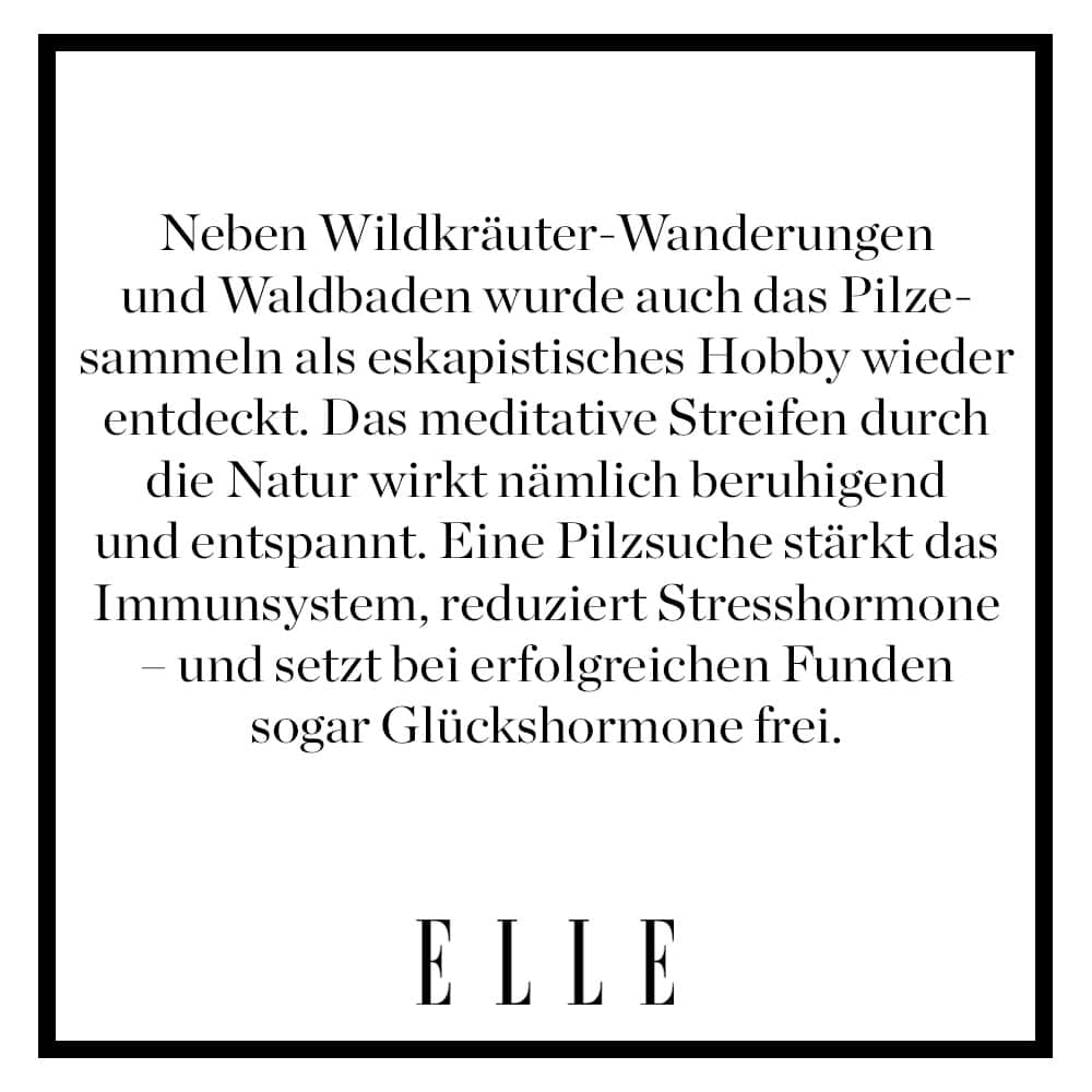 ELLE Germanyのインスタグラム：「Pilzesammeln ist das neue Yoga – und die Saison aktuell auf ihrem Höhepunkt. Auf Märkten und an Gemüseständen biegen sich die Tische unter den wunderschönen, frischen Pfifferlingen, Steinpilzen und Maronen. Foodies frohlocken und decken sich ein für Pilz-Lasagne, Pilz-Carbonara Parmesan-Polenta mit Pilzen oder deftiges Pilz-Porridge. Echte Pilzfreund*innen aber zieht es jetzt in den Wald. Um selbst Pilze zu suchen. Mehr zu dem Trend, wie er entspannt und was man unbedingt beachten muss auf Elle.de!  #champignons #pilze #pilzesammeln」