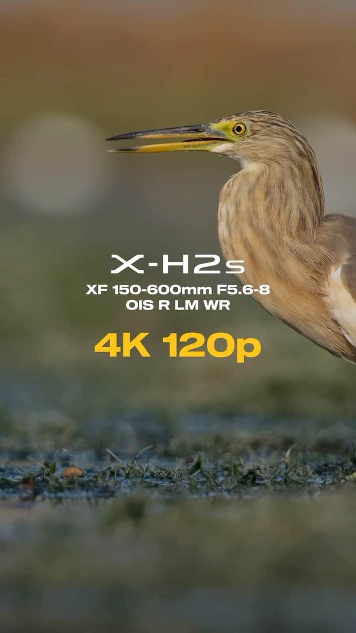 FUJIFILM INDONESIAのインスタグラム