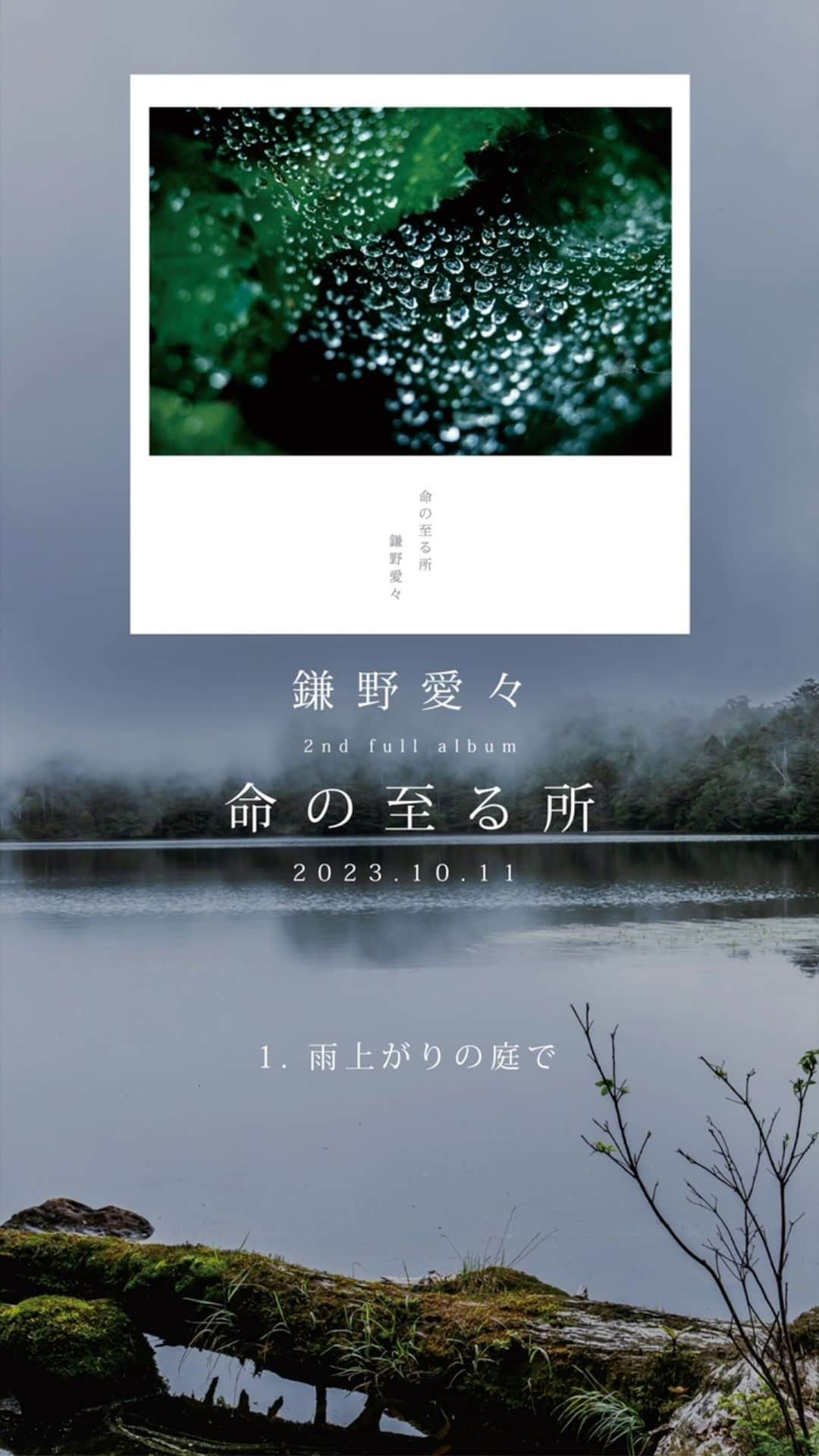 鎌野愛のインスタグラム：「2023/10/11 release 鎌野愛々 2nd album「命の至る所」 ティザーを公開しました。 全曲少しずつ視聴できます🙌  photo&artwork @sgwrkzk  strings @anzu_violin  flute @saikoya  mix @sgwrkzk  mastering @takeo.kira.room2」