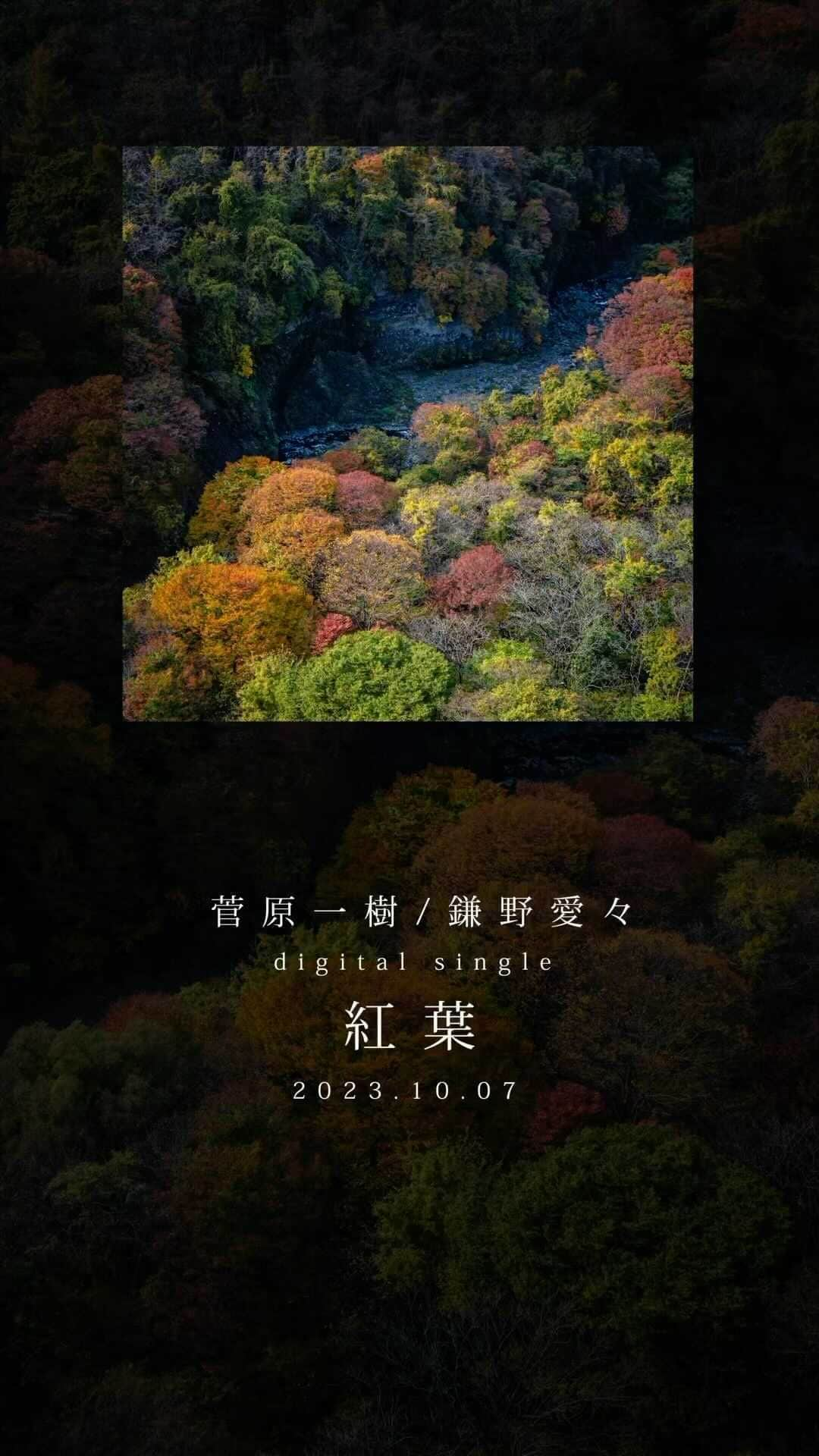 鎌野愛のインスタグラム：「🍁新リリース、紅葉🍁 秋の夕日に～でお馴染みのあの曲をアレンジして配信リリースしました。  鎌野のルーツである童謡と、菅原のルーツであるフォークトロニカ/エレクトロニカの要素が響き合い、耽美な世界を描くことが出来ました。  数年前にお子様を持つ友達に、大人も楽しめて子どもにも聴かせられる曲があったらいいなーと言われたことも、今回リリースした一つのきっかけです。みなさまぜひお聴きください🍁  各配信はこちらから↓ linkco.re/tv9AUBxV」