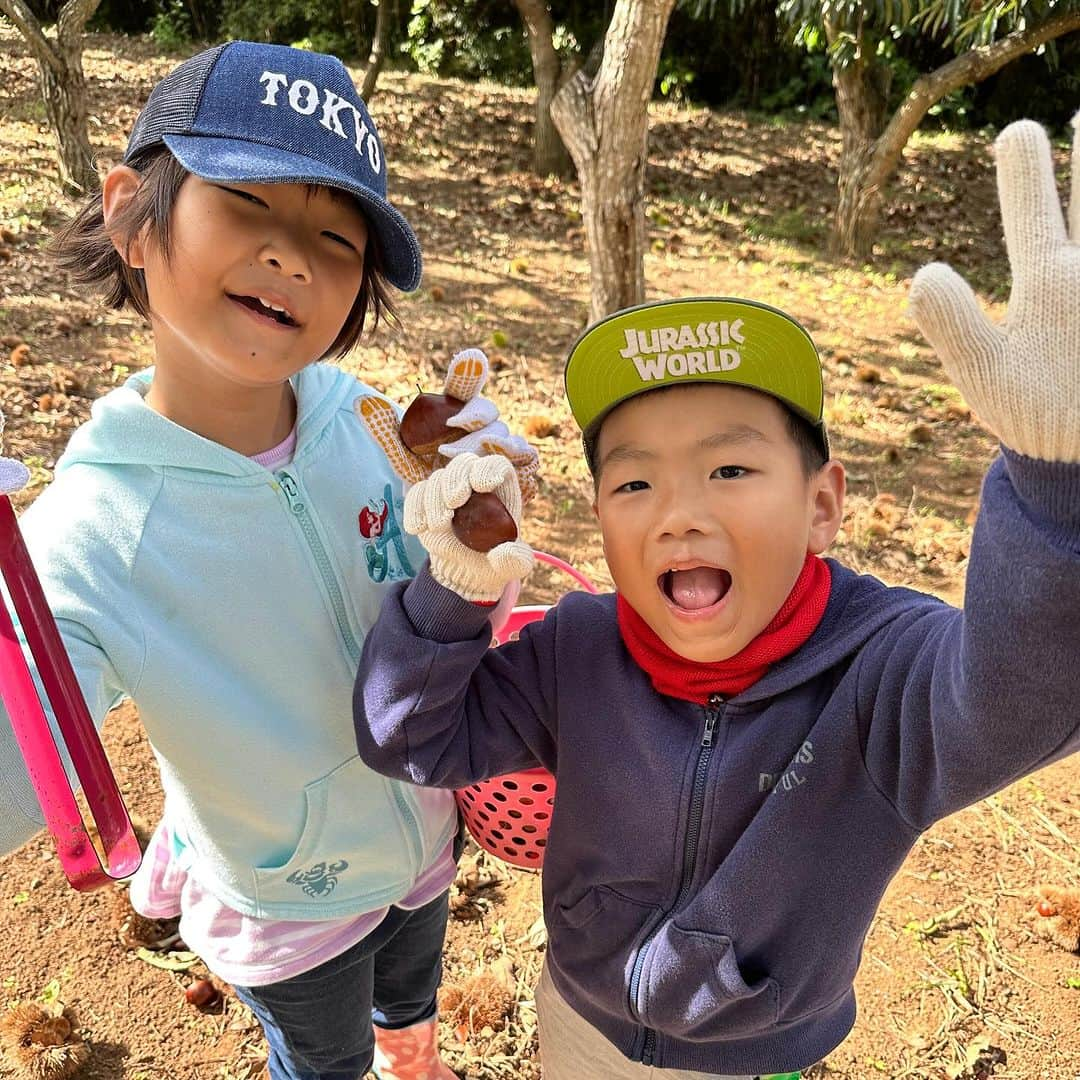 せんももあいしーさんのインスタグラム写真 - (せんももあいしーInstagram)「栗拾いに行きました🌰😊 カエルも拾いました🐸😅」10月8日 15時55分 - oyabakatousan