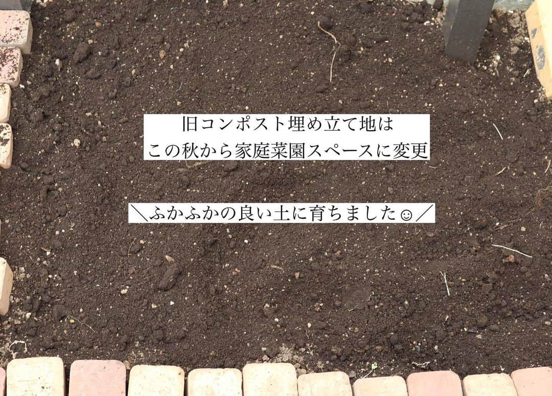 saya.s.aのインスタグラム：「秋の家庭菜園、続き🌱  3連休中日は、少しだけ種まきをしました。 (もっと早くやりたかったけれど先週までは暑くてやる気起きず。。)  夏からコンポスト埋め立て地を移動させていたのですが、 旧コンポスト埋め立て地は、新たな家庭菜園スペースに。 ふかふかの良い土に育ち(←素人の感覚です😅)、その土を使ってプランターや他の家庭菜園エリアでも混ぜて使ってみたり。  他に大根や小松菜も育てたくて、また種を買ってこようと思ってます😊(間に合うかな⁈) 皆さんは秋の家庭菜園は何か植えましたか？  #家庭菜園 #家庭菜園記録  #コンポスト #庭に埋めるだけコンポスト  #コンポストのある暮らし  #コンポスト堆肥 #野菜作り #食べられる庭 #循環する庭  #ナチュラルに暮らす #サステナブルな暮らし  #季節の仕事 #季節を感じる暮らし」