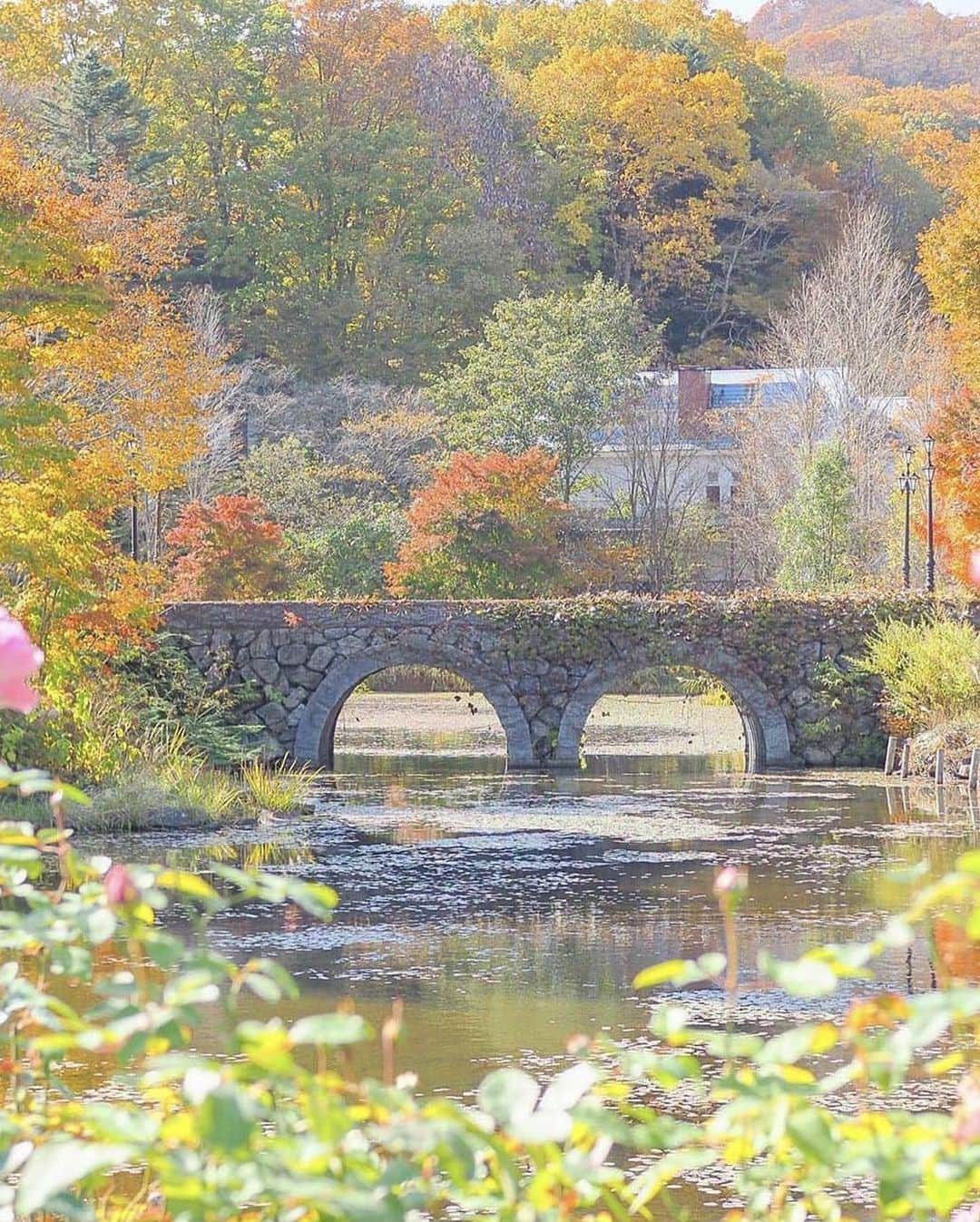 ?長野県 観光 公式インスタグラム のインスタグラム：「// Photo by @yumihr  8つのエリアを楽しめる 「軽井沢レイクガーデン」　 ＠軽井沢町  美しいエントランスに始まり、 160種類のバラが咲き誇る「イングリッシュローズガーデン」や、 香りを楽しめる「フレグランスローズパス」など、 広い敷地をゆっくり散策することができます🌹✨️  たくさん歩いたら英国風のカフェやレストランで一休み💕  ショップも充実しているので、バラをモチーフとした雑貨やお菓子をお土産にいかがでしょうか？😀✨️  ＝＝＝＝＝＝＝＝＝  Karuizawa Lake Garden (Karuizawa Town)  From the beautiful entrance to the English Rose Garden with 160 varieties of rose and the Fragrance Path full of scintillating aromas, these vast grounds invite you to take a long and leisurely stroll.  For a break, drop by the English café or restaurant.  There are also shops on the premises as well, so you can purchase souvenirs such as rose-themed goods or sweets.  ＿＿＿＿＿＿＿＿＿　  Location / Karuizawa Town , Nagano , Japan   #おうちでながの #長野のいいところ #軽井沢レイクガーデン #karuizawa #軽井沢町」