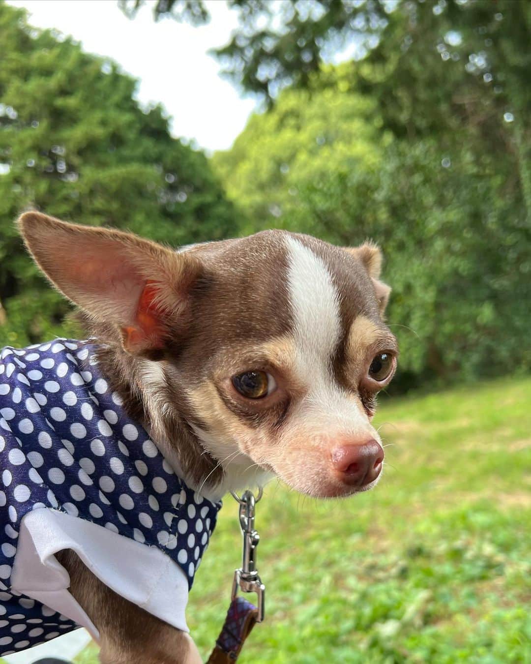 佐藤ミケーラ倭子さんのインスタグラム写真 - (佐藤ミケーラ倭子Instagram)「この前遅めの夏休みしてきた🤍」10月8日 23時04分 - michaela_sato