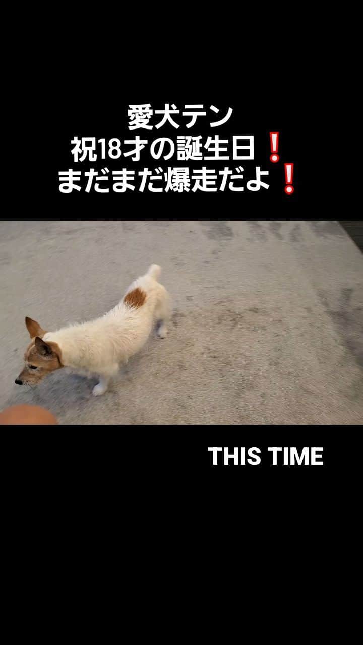 のインスタグラム