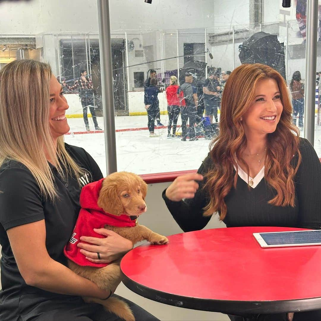 レイチェル・ニコルズさんのインスタグラム写真 - (レイチェル・ニコルズInstagram)「Work < work with puppies. And yes that third dog *is* wearing a hockey helmet, thank you.  @capitals  @wolftrapanimalrescue」10月9日 1時35分 - rachel_nichols