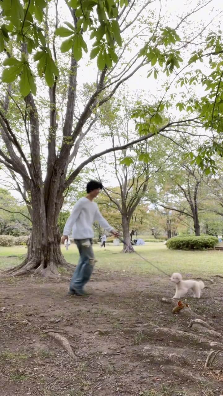 Rintarou Asari 浅利 琳太郎のインスタグラム：「holiday🐶🏕️」