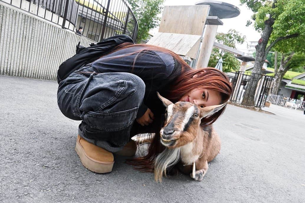 のインスタグラム：「意味のわからない可愛さすぎた」