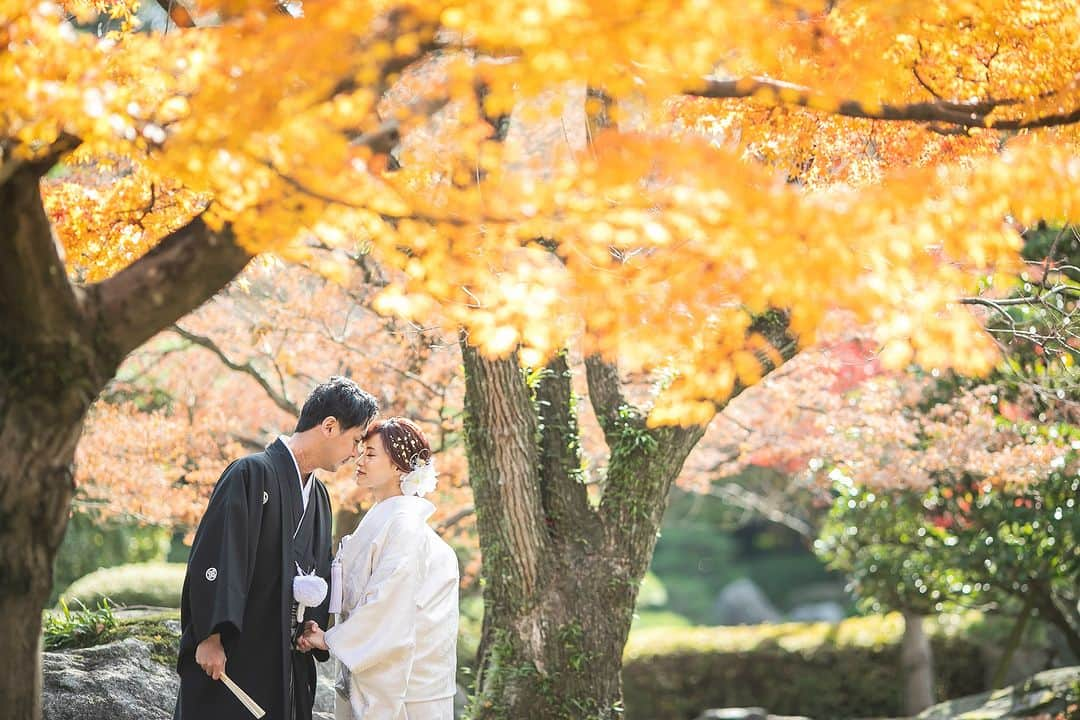 ラヴィ•ファクトリーさんのインスタグラム写真 - (ラヴィ•ファクトリーInstagram)「. 【写真で叶える結婚式】 . ＼この季節おすすめ／ 紅葉の元での和装フォト🍁 日本の美しい四季と伝統美ある和装での前撮りは この時期にしか撮ることが出来ない 美しい1枚を残していただけます📸 . —————— ラヴィファクトリー:@fukuoka_laviephotography Photographer: @aki_batakanobu AREA:JAPAN,FUKUOKA —————— @laviefactoryをフォローして #laviefactory #ラヴィファクトリー のハッシュタグをつけて お写真を投稿してみてくださいね✳︎ . こちらの公式IG（@laviefactory） で取り上げさせていただきます✨ . 思わず笑顔になれるハートのある 「家族写真」はラヴィクルール* >>>@laviecouleur_official . #wedding #weddingphotography #photo #ハートのある写真 #instawedding #結婚写真 #ウェディング #ウェディングフォト #撮影指示書 #ロケーションフォト #前撮り#写真好きな人と繋がりたい #フォトウェディング #卒花 #後撮り #ウェディングニュース #前撮り小物 #前撮りフォト #前撮りアイテム #ウェディング撮影 #撮影構図 #前撮りアイディア #撮影指示書 #花嫁コーディネート #花嫁コーデ #和装ロケフォト #紅葉フォト #大濠庭園」10月8日 18時29分 - laviefactory