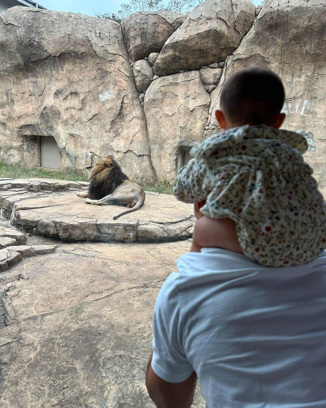 中上貴晶さんのインスタグラム写真 - (中上貴晶Instagram)「We had a good Sunday 🤣🫶🏼 🦁🐘🐼  動物園行ってきました🤣🫶🏼  #UncleLife #叔父頑張ってます」10月8日 18時30分 - takanakagami