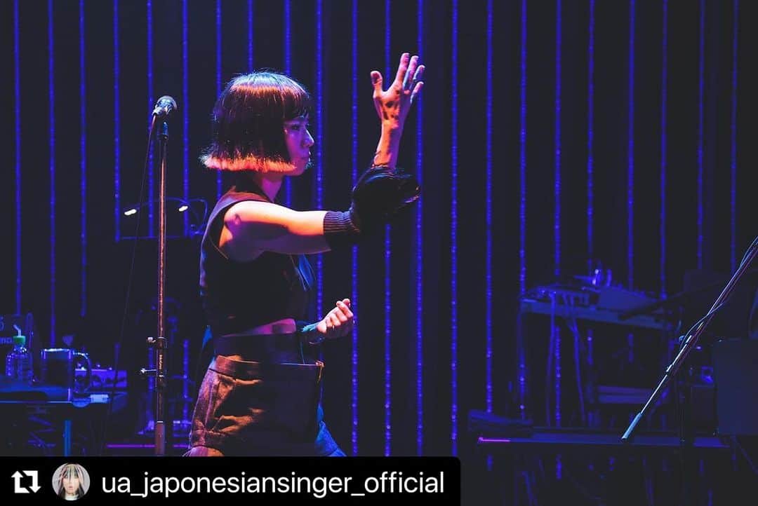 冨沢ノボルさんのインスタグラム写真 - (冨沢ノボルInstagram)「うたう❣️ @ua_japonesiansinger_official  @ua_anniversary_official  @billboardlive_osaka  @remitakenouchi  @i.am.not.noboru   ##Repost @ua_japonesiansinger_official with @use.repost ・・・ Billboard Live Osaka  秋のツアー、大阪から始まりました。 お客様との掛け合いがすこぶる愉快な夜。また早く大阪に帰りたいな。 さんくす🦖  Photos Hoshina Ogawa  @billboardlive_osaka @noboruok @remitakenouchi #ua#ウーア Repost @ua_japonesiansinger_official with @use.repost ・・・ Billboard Live Osaka  秋のツアー、大阪から始まりました。 お客様との掛け合いがすこぶる愉快な夜。また早く大阪に帰りたいな。 さんくす🦖  Photos Hoshina Ogawa  @billboardlive_osaka @noboruok @remitakenouchi #ua#ウーア」10月8日 18時34分 - noboruok