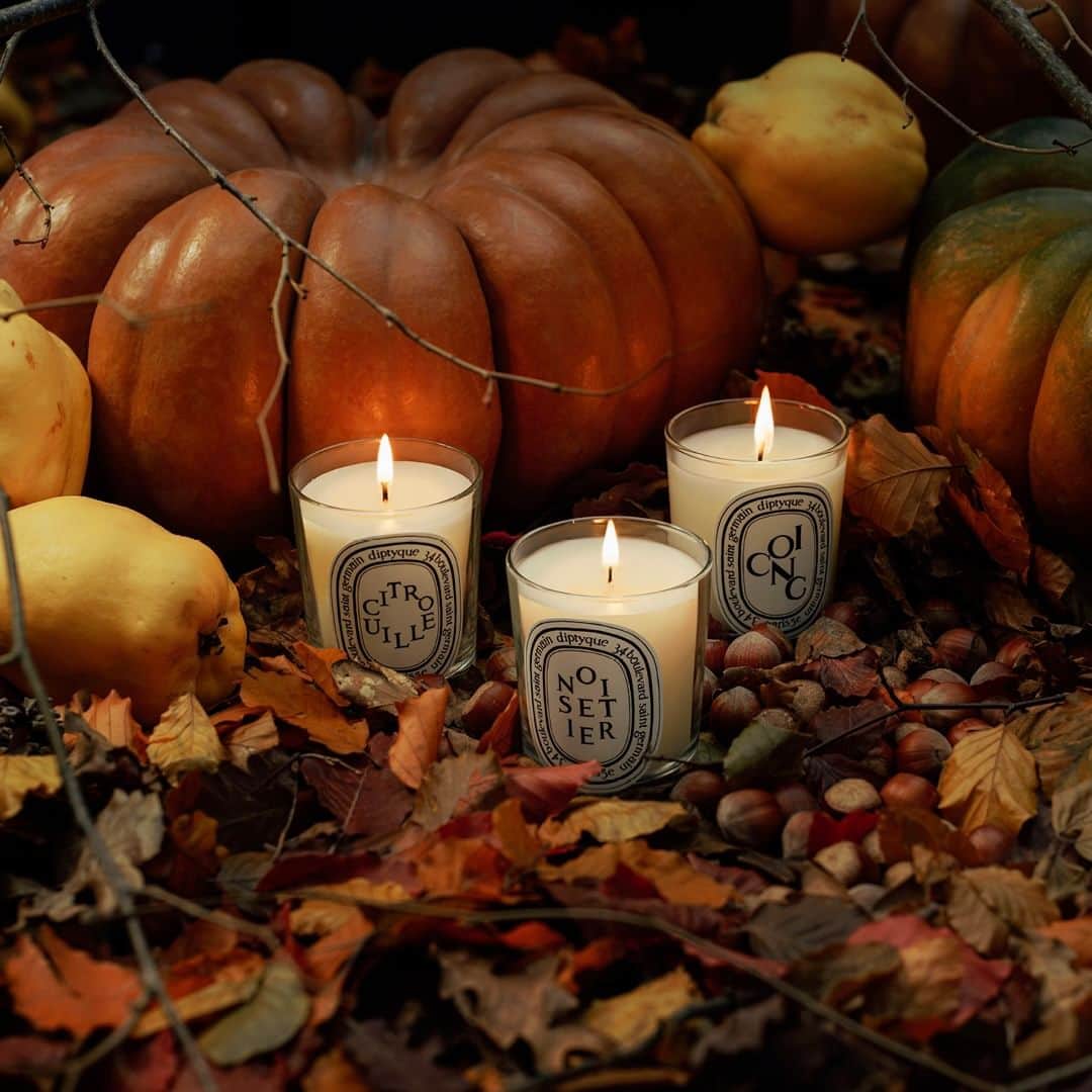ディプティックのインスタグラム：「That autumnal feel… …and the season's delicious scents are finally here. Among them: the warm and spicy accents of Pumpkin, in a limited edition. #Diptyque #Candles #PumpkinCandle #LimitedEdition」