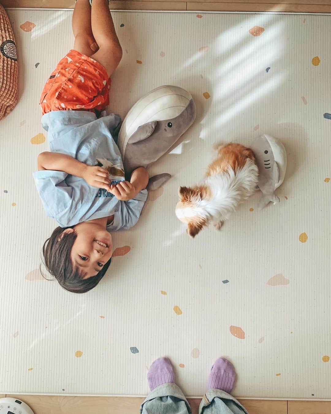 むらたさきさんのインスタグラム写真 - (むらたさきInstagram)「♡♡ ． いつもとっ散らかっていて 公開断念していたリビング🏠🐶👦🧹 ． 久々にちょっと片付いたので記録📷♡ (でも、見せられるのここだけ…☝️🤣爆) ． ． 夏の間は キャンプ用のマットを敷いていた(😂)くらいに もう長らくラグ迷子すぎたわが家に、 @parklon_carino_carino がやってきました〜🫶🥳✨ ． ． 滑らず1枚で敷ける、 しっかり厚みのあるクッションマットで、 さっと拭ける防水素材が 子どもや🐶🐶の粗相にも対応できてストレスフリーだし、 床暖＆ホットカーペットもOKなので、 季節を選ばず使い続けられるのも💯だ〜✌️🥰💮 ． よだれや吐き戻しで 毎週ラグの洗濯に追われていた、 子どもたちが赤ちゃんの頃から敷いておきたかったな〜♡♡と ちょっと後悔しているくらいに(😂💘)、 かなり使い勝手よい👌😘 ． ． 防菌、防臭、防カビ仕様で、 ダニの繁殖も99.9％抑制してくれるそう🧼🫶🐰 ． ． ． サイズも豊富で、 わが家はM／190cm × 130cm (厚み1.2cm) にしました💡☺️ ↑ 肉は十分についとるのに🐷、 左右に流れて(？)座る部分のお肉は薄くなって 長時間座っているとジリジリと痛い 母のおしり(この体感、伝わるかな🍑😂笑？)には ありがたい厚み🙏😉✨ ． ． リバーシブルで、 この裏はシンプルなベージュのラグデザイン🦊♡ (8枚目) ． ． ． わが家は騒音指数も高そう😭なので、 もちもちクッションの防音効果にも期待している〜🙇‍♀️♡ ． ． ． ． ． ． ．  #10歳 #7歳 #4歳 #三兄弟 の三男👦 ． #子育て #男の子ママ  #犬のいる暮らし #プレイマット  #ベビーマット #カーペット  #ベビーグッズ #赤ちゃんグッズ  #育児グッズ #赤ちゃん用品  #carinocarino」10月8日 19時17分 - muratasaki