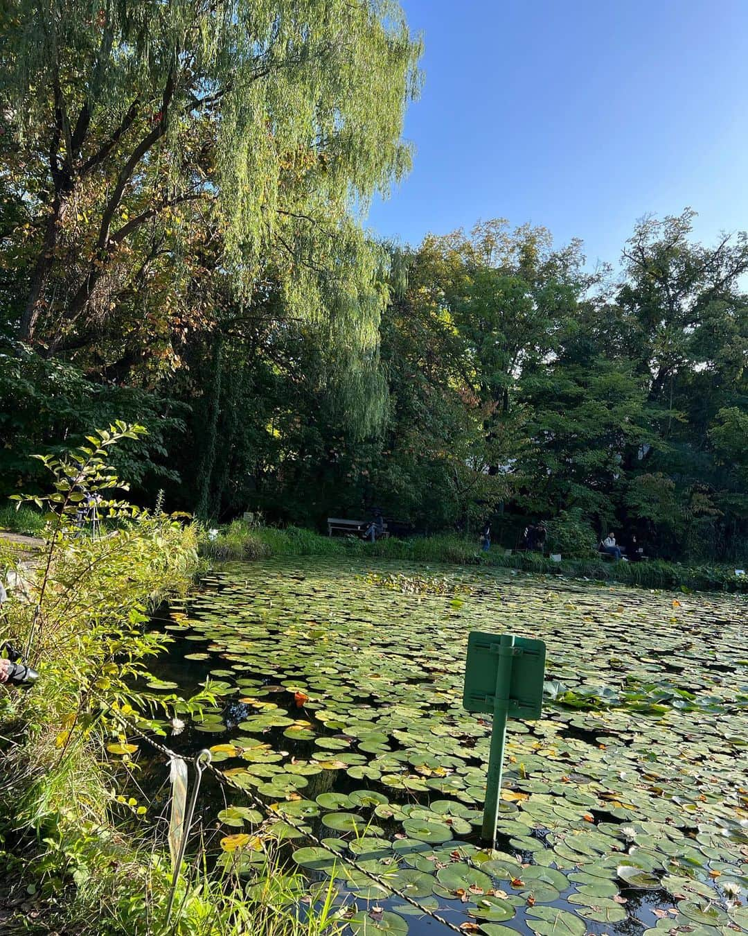 谷心愛さんのインスタグラム写真 - (谷心愛Instagram)「🌳🍂  #ファッション #秋服コーデ  #韓国コーデ」10月8日 19時19分 - cocoa_tani