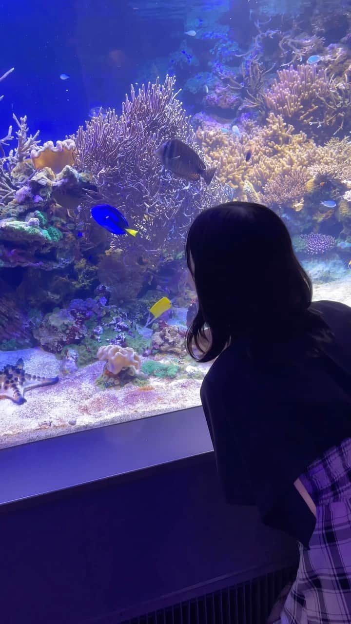 春野絵美莉のインスタグラム：「三重旅行の思い出✎ ̼    【1日目】 ミキモト真珠島のあとは、 鳥羽水族館に行きました🐠🪸𓂃 𓈒𓏸  水族館が大好きなので、どうしても行きたくて閉園まで1時間しかなかったけど入場させてもらったんだ( > <。)  水族館に行くとすごく癒される気がする🫧  #三重県 #三重観光 #三重旅行 #鳥羽水族館」