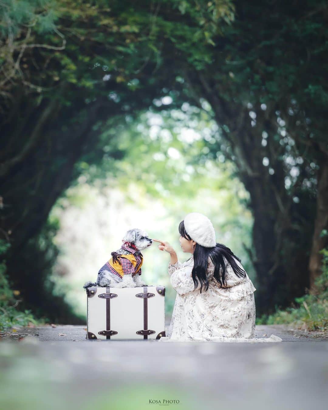 コサのインスタグラム：「鼻ツン  お人形さんみたいなポンズ . Location:和歌山 Wakayama /Japan🇯🇵 Date:2021年11月 in frame: @chami_2nd & ぽんず Camera:D5 70-200mm f2.8 . #tanddフォトコンテスト2023 #ワクワク #Japan_Daytime_View #jp_portrait_collection #ポトレファン倶楽部 #ポトレ撮影隊 #jp_mood #jp_portrait部 #clv_galerie #inuclub_jpn #tokyocameraclub #art_of_japan_ #jgrv_member #team_jp_ #photo_jpn #sorakataphoto #LBJ_KING #IGersJP #広がり同盟メンバー #special_spot_legend #deaf_b_j_ #invisible_cool_part  #m_v_shotz #nipponpic_member #じゃびふる #raw_japan #Lovers_Nippon #japan_waphoto #colore_de_saison #japan_bestpic_」