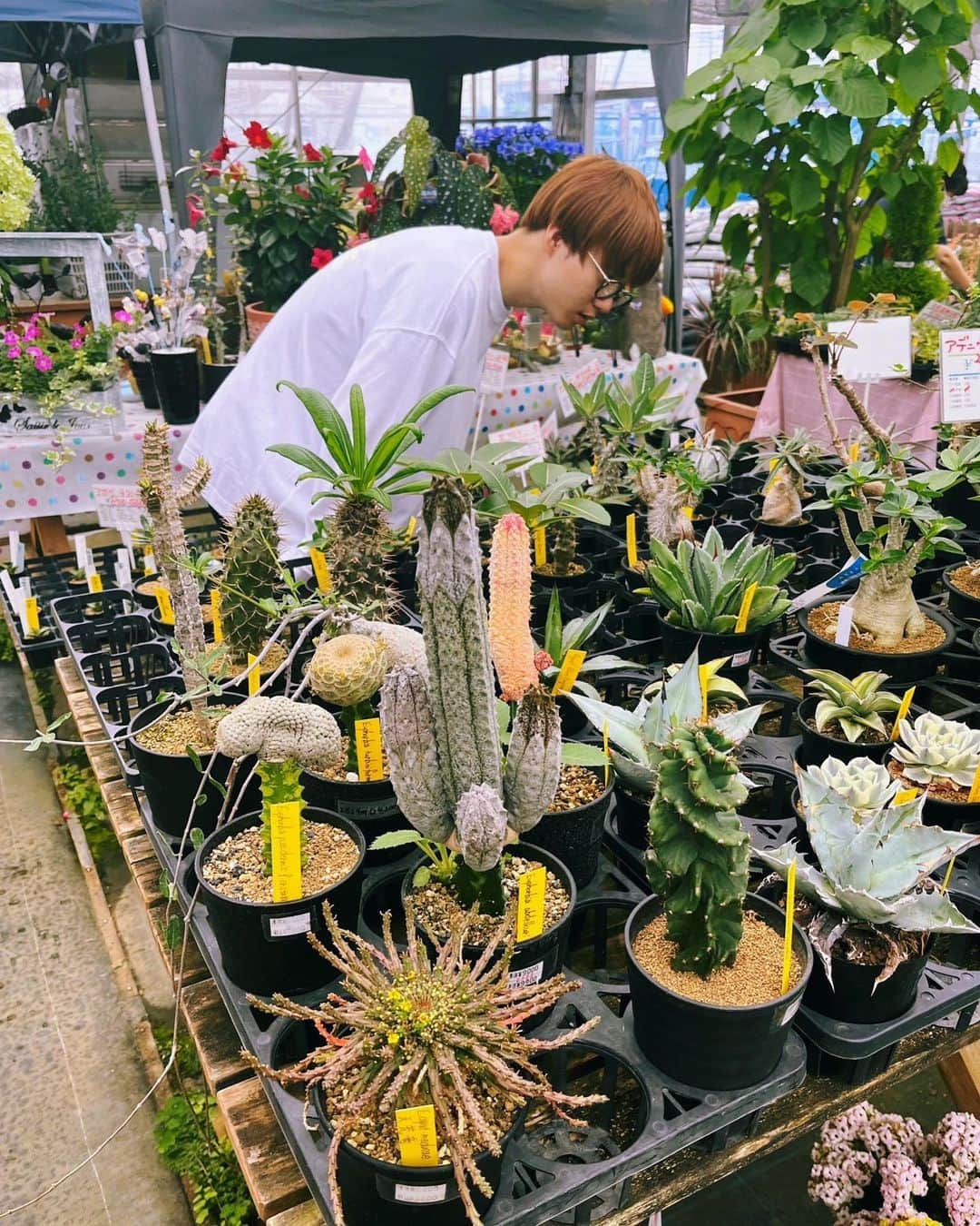 小越勇輝のインスタグラム：「植物、生命。 力もらう。  #植物 #パワー #力」