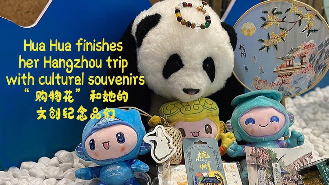 のインスタグラム：「The cutest panda broadcaster Hua Hua took a trip to Hangzhou during the 19th Asian Games. She visited not only the competition venues but also the urban and natural landscape in this ancient and modern Chinese city. Let’s check it out! 🐼 🐼 🐼 #Panda #iPanda #Cute #HangzhouAsianGames #CutestPandaToy #ChinainLens  For more panda information, please check out: https://en.ipanda.com」