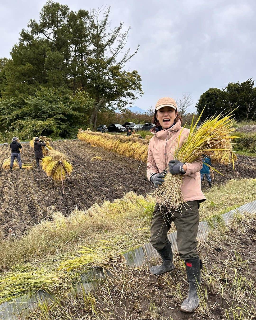 加藤紀子さんのインスタグラム写真 - (加藤紀子Instagram)「『稲刈りの時には！』なんて、 春の田植え時にお邪魔した約束を 覚えててくれた達也君 @tatzuyamaemura のおかげで、貴重な稲刈り経験デー🌾。  ひと株ごとカマでカット、 そこからジュートでまとめて運んで…8時間！  腰も足元もヨレヨレになったけど 学びばかりの一日に！ 知らないを知るって本当に幸せー☺️  仲間に入れてくださった皆様、 ありがとうございましたー✨  #いつかは夢見る米作り」10月8日 20時11分 - katonoriko