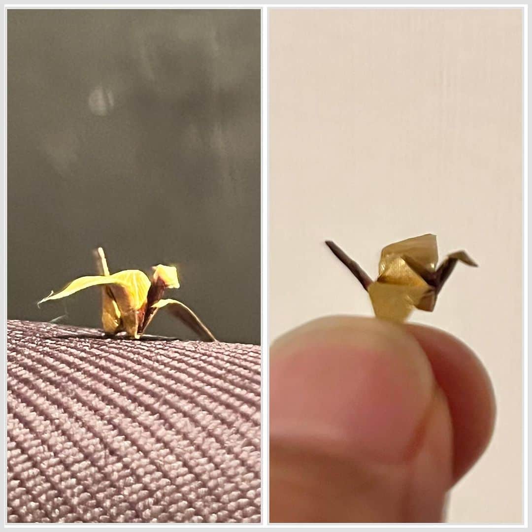 高野寛のインスタグラム：「折ってみた (裸眼・ピンセット使用) #origamiart」