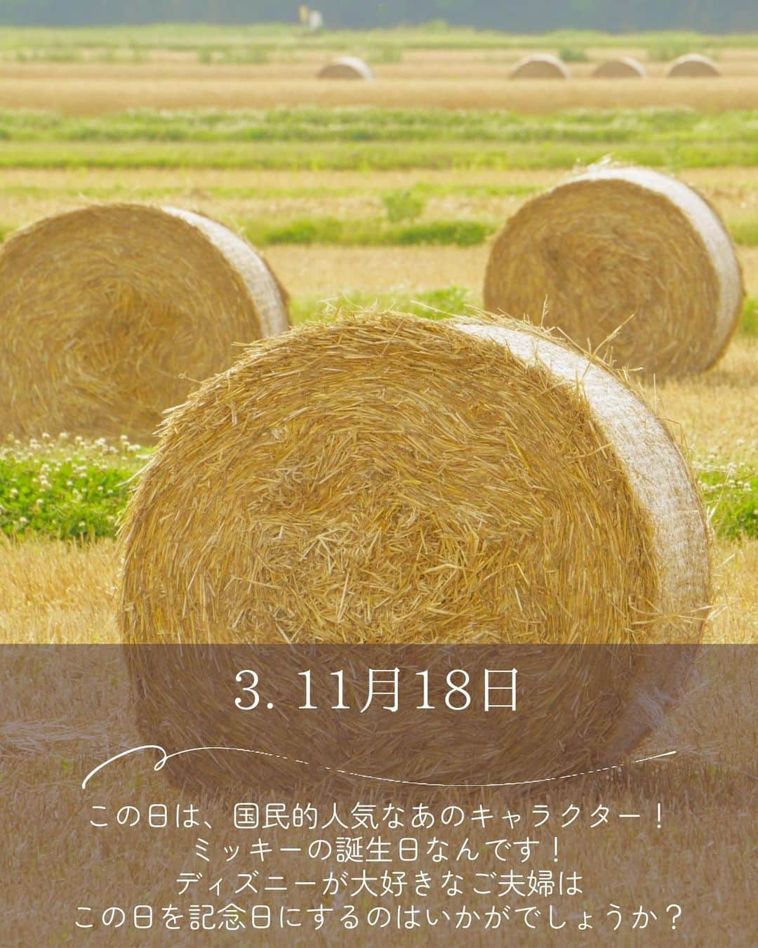 Photobackさんのインスタグラム写真 - (PhotobackInstagram)「本日ご紹介するのは ＼11月ならこの日！／ 縁起の良いふたりのラッキーday のご紹介📸 ⁡ 11月は気候が安定していて、祝日もおおいことから 1年のうちでも多く結婚式が挙げられる月で、とても人気で 紅葉も美しい季節なので、和婚にも最適です。 そしてなにより、夫婦円満にはもってこいの「あの日付」があるんです！ そんな結婚にはもってこいな11月の縁起の良い日のご紹介です！  ⋆┈┈┈┈┈┈┈┈┈┈┈┈┈┈┈┈⋆ ⁡ 他の投稿や公式サイトへのアクセスは Photobackのプロフィールリンクをタップ！ おトク情報も配信中✨ プロフィールはこちらから↓ @photoback.jp ⁡ ⋆┈┈┈┈┈┈┈┈┈┈┈┈┈┈┈┈⋆ ⁡ #photoback #フォトバック #フォトアルバム #フォトブック #思い出アルバム #アルバム作り #写真整理 #花嫁 #結婚式 #プレ花嫁 #wedding #ウェディング #結婚式準備 #卒花嫁 #weddingdress #卒花レポ #プレ花嫁さんと繋がりたい #ウェディングフォト #ニューボーンフォト #アルバム #手作りアルバム #アルバム作成 #アルバム整理 #フォト #アルバムアドバイザー #アルバム素材 #アルバム手作り #アルバムに残したい写真を #アルバムチャレンジ」10月8日 20時51分 - photoback.jp