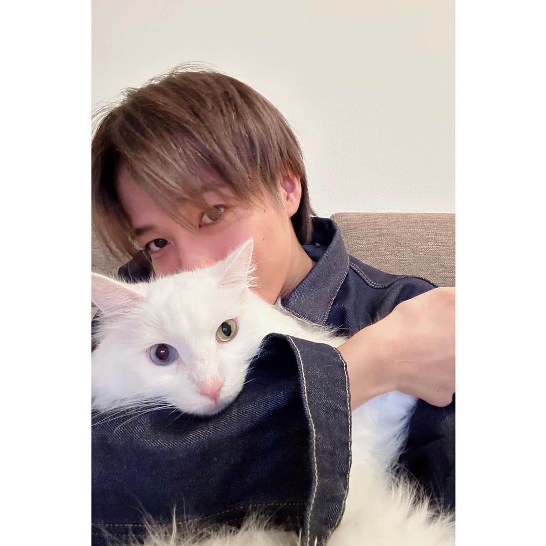 和田颯のインスタグラム：「. 可愛いが撮れちまった🫠🫶」