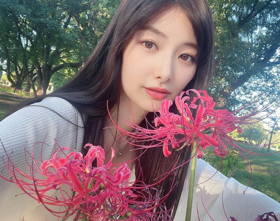 武藤十夢のインスタグラム：「彼岸花✨️ 今年も綺麗だったね❤️ . . #彼岸花 #autumn #flower」