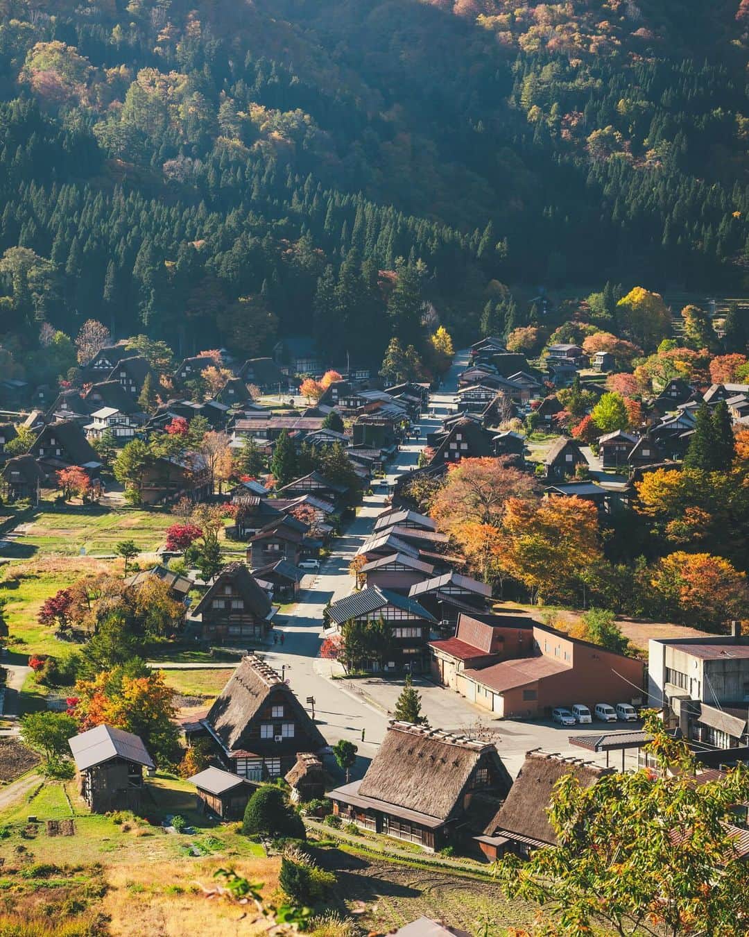Yuma Takatsukiさんのインスタグラム写真 - (Yuma TakatsukiInstagram)「. . . autumn . . . . . 関東と関西の気温差すごいなぁ。 やっぱり関東のほうが涼しくなるの早いね。 ⁡ もう地域によったら色づいてくる季節やし 秋を楽しみたい！ ⁡ それでは今週もよろしくお願いします！ . Gifu／Japan LUMIX S1R／LUMIX S 70-200mm F2.8,LUMIX S 50mmF1.4 . ―――――――――――――――――――――――――― 関西を中心にフリーランスで活動しています。 Web広告、個人撮影、家族撮影、PR撮影など、 10月以降の撮影依頼募集中です。 ⁡ ⁡Yuma Takatsukiオリジナルプリセットも販売中です。 ⁡プロフィールのポートフォリオサイトからご覧下さい。  またフォトサークルITTOKOという活動をしています。 ⁡ハイライトに色んなイベントをまとめています。 ――――――――――――――――――――――――――」10月9日 8時05分 - yu_umaa06