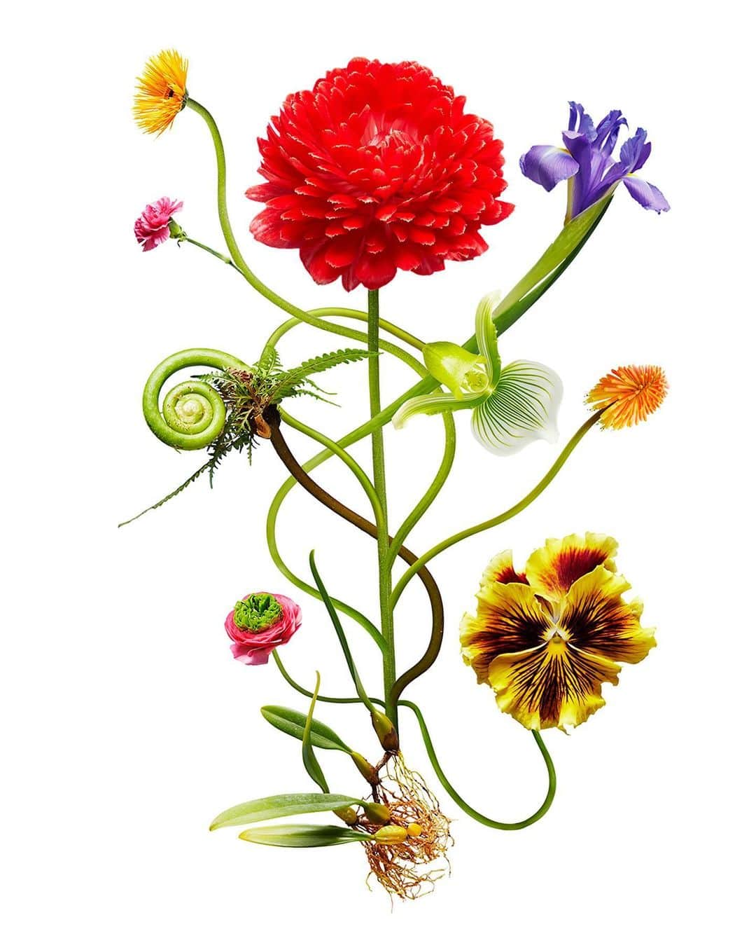 東信さんのインスタグラム写真 - (東信Instagram)「Digi-bouquets collection by AMFC META FLORIST   @amfc_metaflorist  #azumamakoto  #shiinokishunsuke  #amkk #metaflorist  #digibouquet #futurebouquet」10月9日 7時33分 - azumamakoto