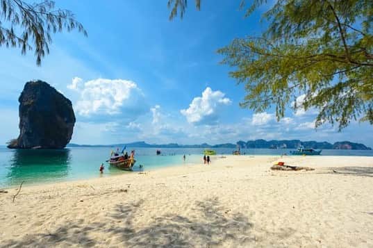 タイ国政府観光庁さんのインスタグラム写真 - (タイ国政府観光庁Instagram)「. クラビにある「ポダ島」からおはようございます☀️ᐝ  タイのベストシーズン（11〜4月）はもう間もなく❕ 爽やかな青天が続くこの時期には、タイ南部に浮かぶポダ島を訪れてみてはいかがでしょう？😎  ここはクラビの人気ビーチ「アオナン・ビーチ」などからボートに乗って片道約30分でアクセスできる、静かで小さな島🏝　ガイ島 (チキン島)もすぐそばです✨  美しいクラビの島々のなかでも、ポダ島の半分を囲むように広がる砂浜の美しさは格段と評判🐚🤍　すぐ目の前の海に屹立した、石灰岩の岩山も印象的な景観を作り出しています👀💚  ハイシーズンには、バンガローとレストランもオープン👍　エメラルドグリーンに輝く海で、シュノーケリングや海水浴、日光浴をしながら自然に癒やされましょう🥰  今日も素敵な1日をお過ごしください💐  ★参考になった！と思ったら、あとで見返せるように、 画像右下にある保存ボタン🔖をタップ！  #タイ #クラビ #ポダ島 #南の島 #タイリゾート #タイビーチ #秘境 #今こそタイへ #こんなタイ知らなかった #もっと知りタイ #はじめてのタイ #タイ旅行 #旅好きな人と繋がりたい #旅行好きな人と繋がりたい #海外旅行 #thailand #krabi #krabitrip #kopoda #thairesort #thaibeach #thailandhiddengems #instabeach #amazingthailand #thailandtravel #thailandtrip #thaistagram #lovethailand #amazingnewchapters」10月9日 8時01分 - amazingthailandjp