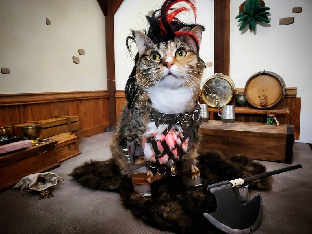 猫コスプレさんのインスタグラム写真 - (猫コスプレInstagram)「"Just call me Mama K... a... t."  #BaldursGate3 #bg3 #Caturday #Karlach . . . . #baldursgate3cosplay #bg3cosplay #bg3fanart #karlachcosplay #catcosplay #cosplay #cosplayer #cat #catcostume #catsinclothes #petclothes #PetCostume #petarmor #catarmor #funnycats #humor #funny #dnd #DungeonsandDragons #halloween #halloweenseason #halloweencostumes」10月8日 23時18分 - cat_cosplay