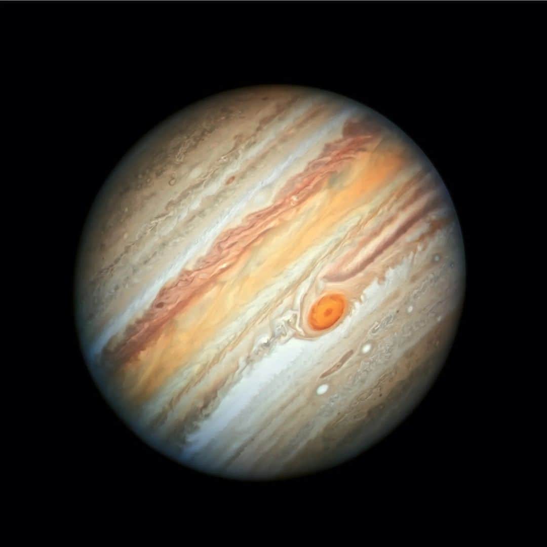 NASAのインスタグラム：「Enjoy a pumpkin space latte on this fall morning! 🎃  In this 2019 @NASAHubble image of Jupiter, the coffee- and cream-colored bands are created by differences in the thickness and height of ammonia ice clouds in the planet’s atmosphere.  Look up later this month for an extra autumn treat! On Oct. 28, Jupiter will rise in the night sky along with the full Moon.  Image description:  This Hubble image of Jupiter shows the planet against a black backdrop of space. Cloudy bands in varying shades of white, brown, and orange run horizontally across the surface A dark orange oval at near the lower center is a massive storm called the Great Red Spot. The planet with its north pole toward the 11 o'clock position.  #Space #Jupiter #Hubble #NASA #Fall #Autumn #NASAHalloween」