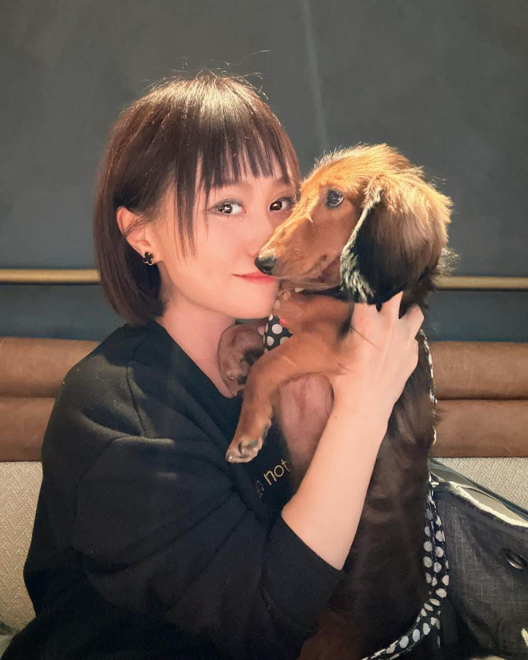 Karinのインスタグラム：「2023.10.8 クレちゃんHAPPY BIRTHDAY🥳  3歳になりました🐶 これからも一緒に過ごせる日々を大切に 大事な子を守っていきます✨  いつも癒しをありがとう❤️  #愛犬 #愛犬との暮らし #キンプトン #ワンコとお出かけ」