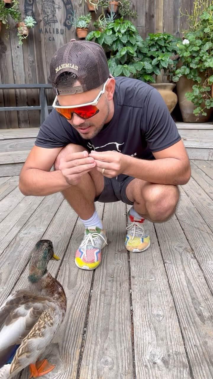 ジェイソン・ケネディのインスタグラム：「This is a story about a boy and the BIG BAD DUCK….」