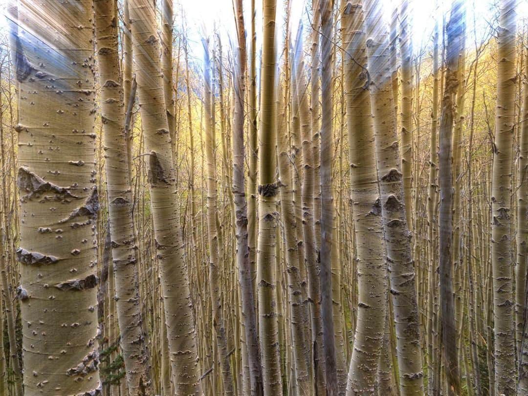 Keith Ladzinskiのインスタグラム：「Ode to Autumn 🍂  - For @natgeo」