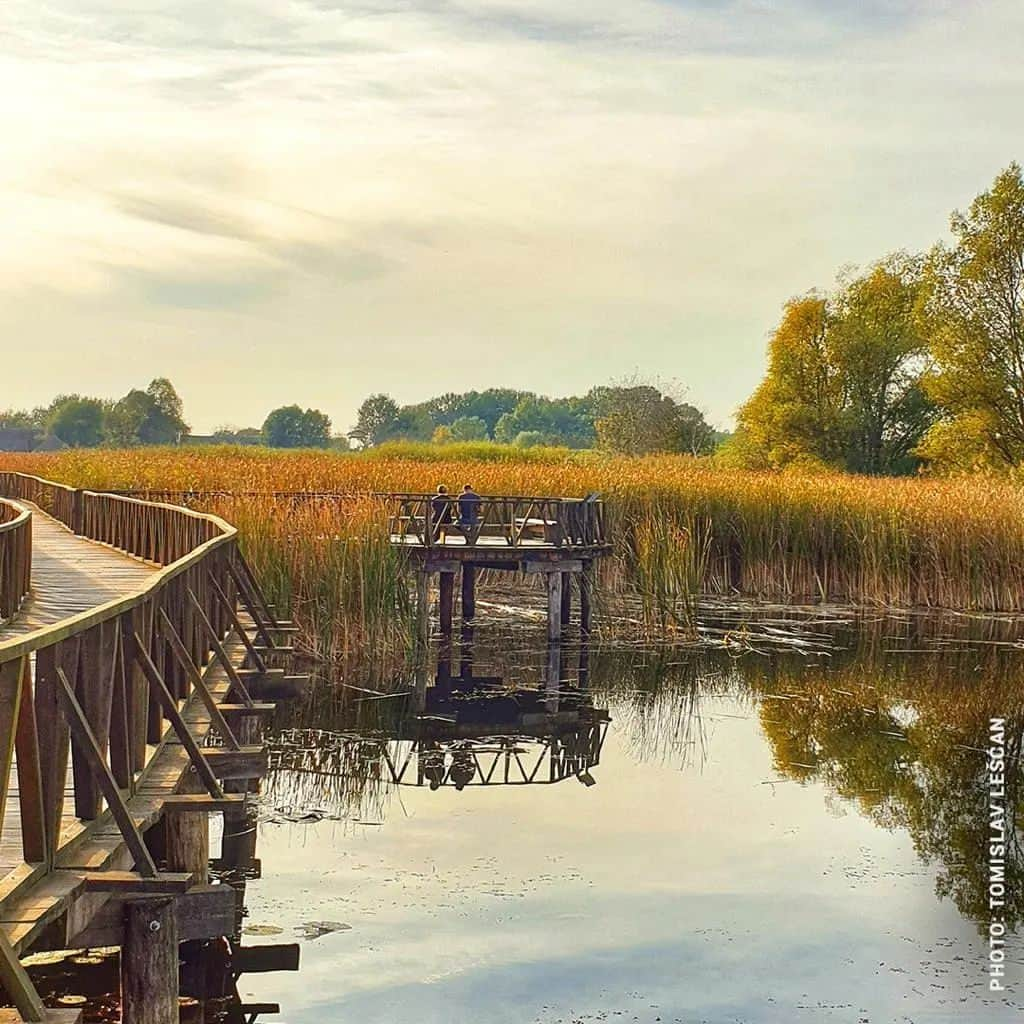 マリン・チリッチさんのインスタグラム写真 - (マリン・チリッチInstagram)「Visiting Croatia in Autumn?🍂 Which of these incredible spots are you heading to first? 🤩⠀ .⠀ .⠀ #croatiafulloflife #autumn @croatiafulloflife #nationalparks #naturelovers」10月9日 4時08分 - marincilic