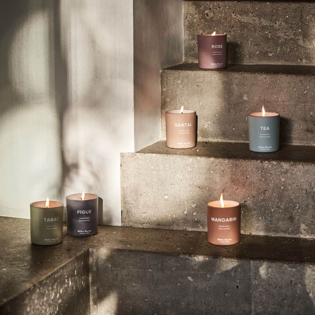 ミラーハリスのインスタグラム：「A fragrant evening in...」